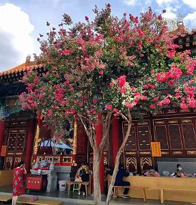 KUNMING - Temple YUANTONG - 21